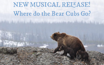 New Meadowlark Music Class Release – Where Do the Bear Cubs Go?